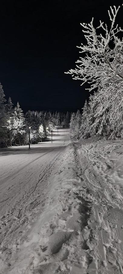 Orlicka Apartament Duszniki Zdroj Bagian luar foto